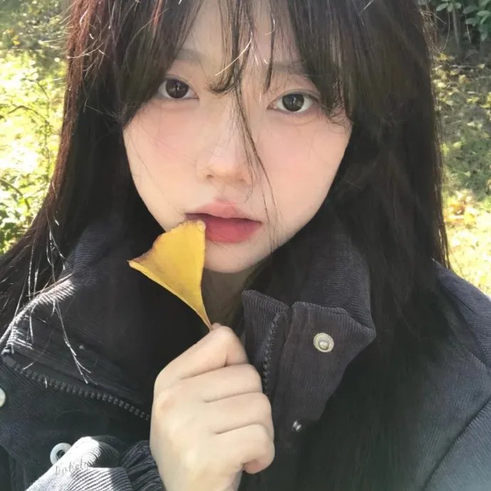 疯狂寻乐